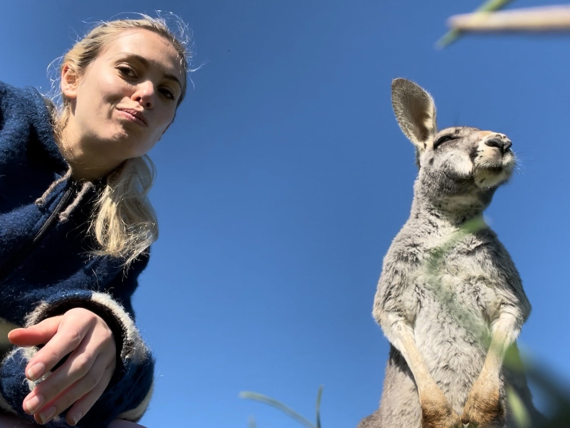 Sonjin put od ideje do realizacije dolaska u Australiju