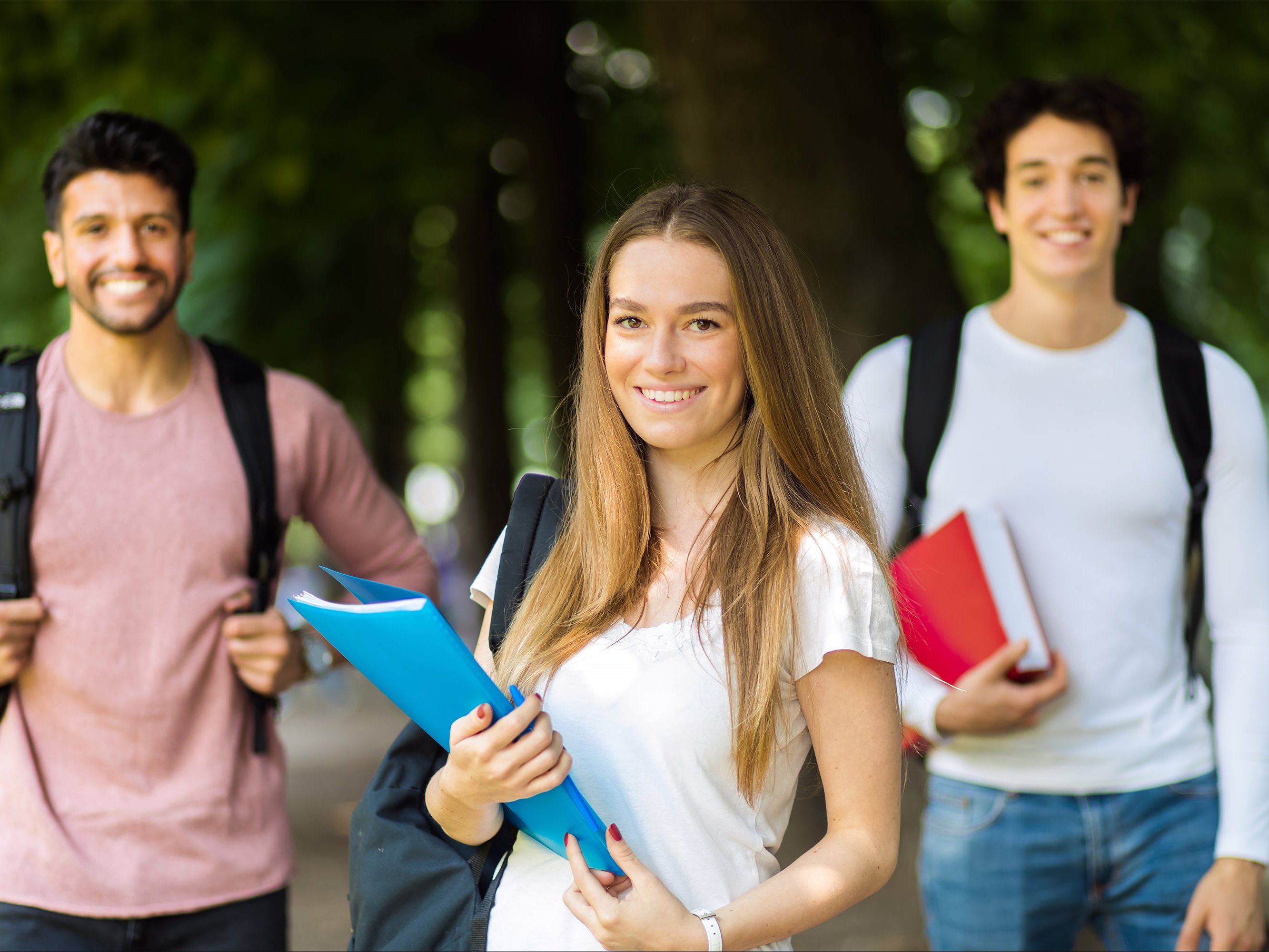 Studiranje u Austriji na engleskom jeziku