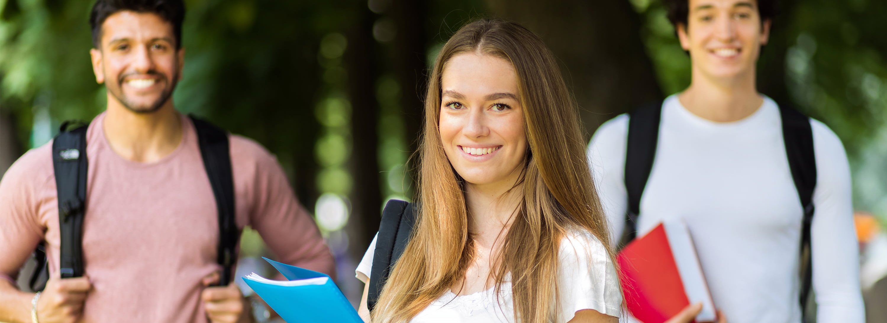 Studiranje u Austriji na engleskom jeziku